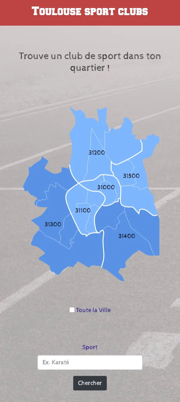 Aperçu du site Toulouse Sport Club sur mobile